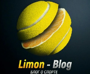 Лимон Блог лого